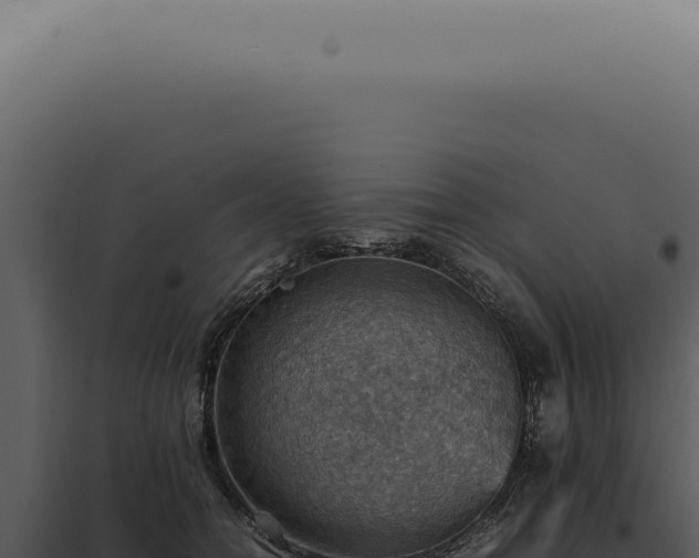 X0000098000558200804011835