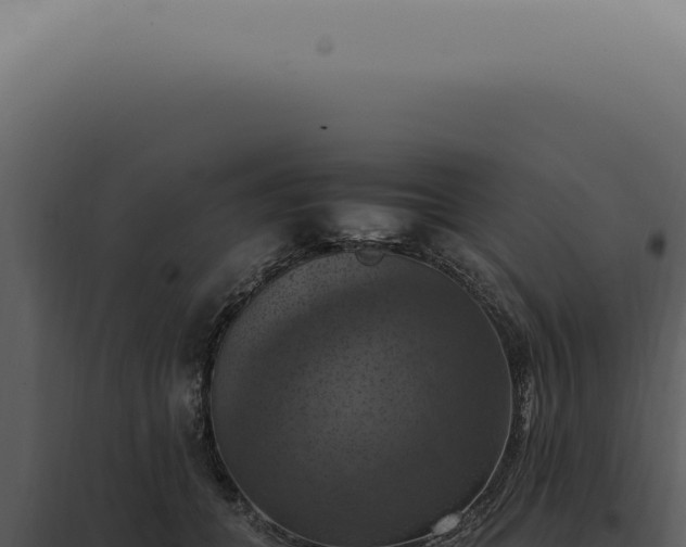 X0000098000559200804011835