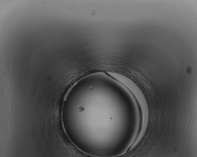 X0000098000560200804011835