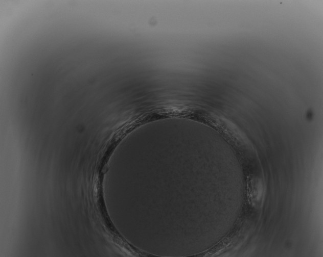 X0000098000563200804011835