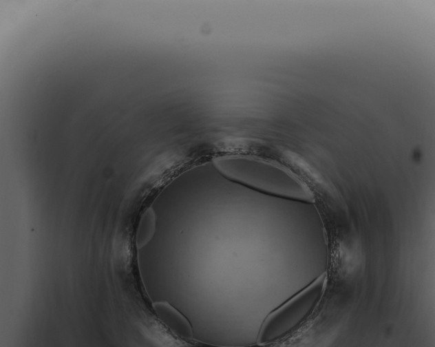 X0000098000566200804011835