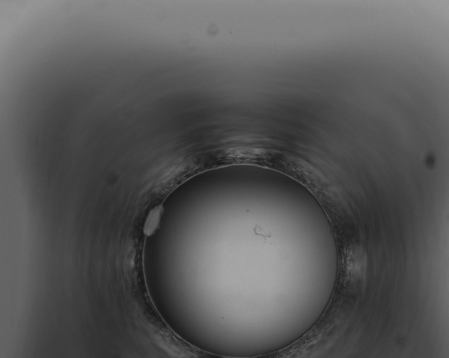 X0000098000567200804011835