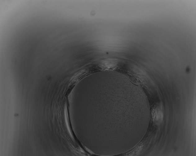 X0000098000570200804011835