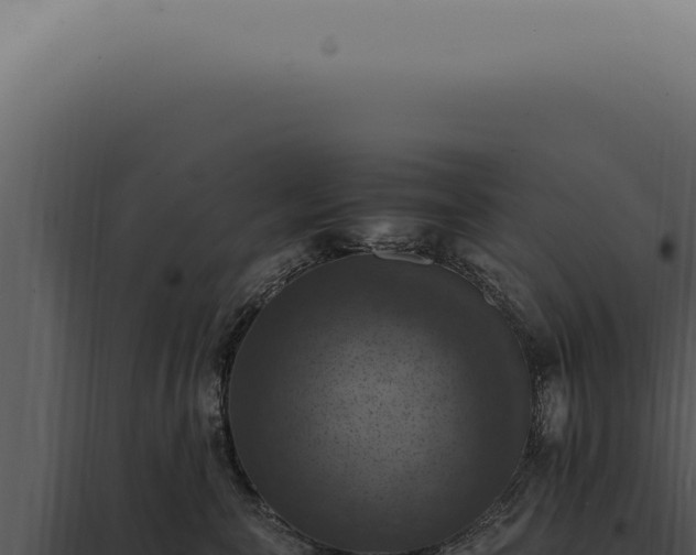 X0000098000571200804011835