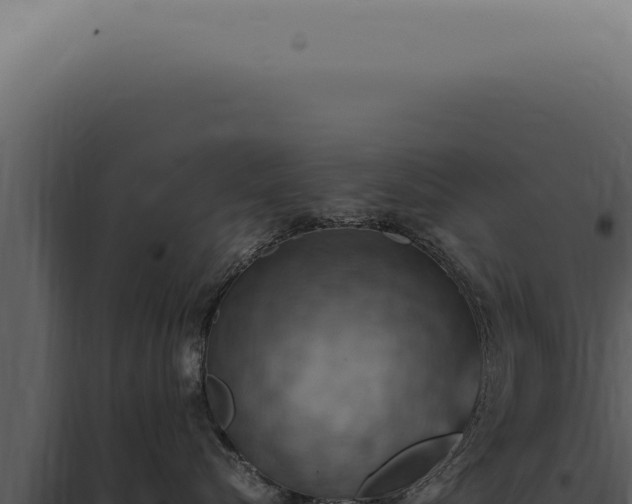X0000098000576200804011836