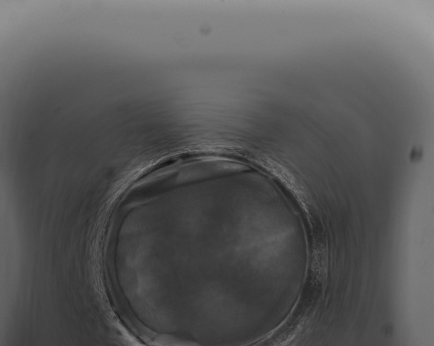 X0000098000577200804011835
