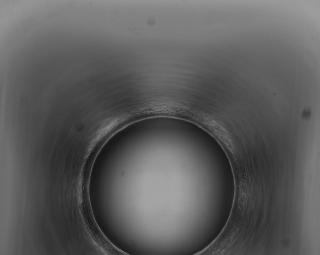 X0000098000578200804011835