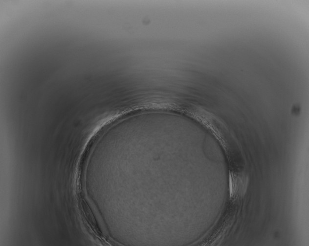X0000098000579200804011835