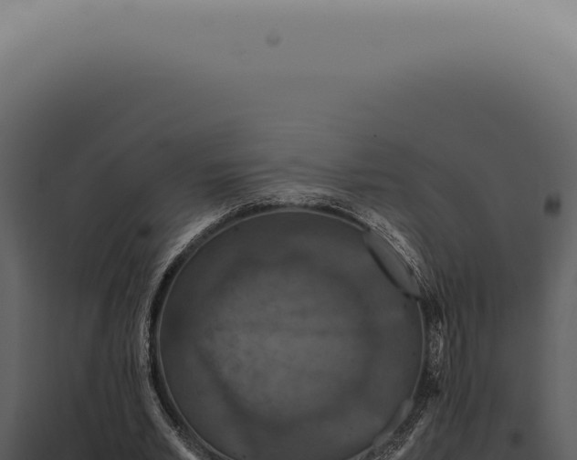 X0000098000581200804011835