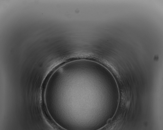 X0000098000582200804011835