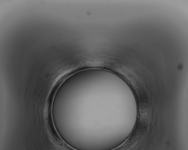 X0000098000583200804011835