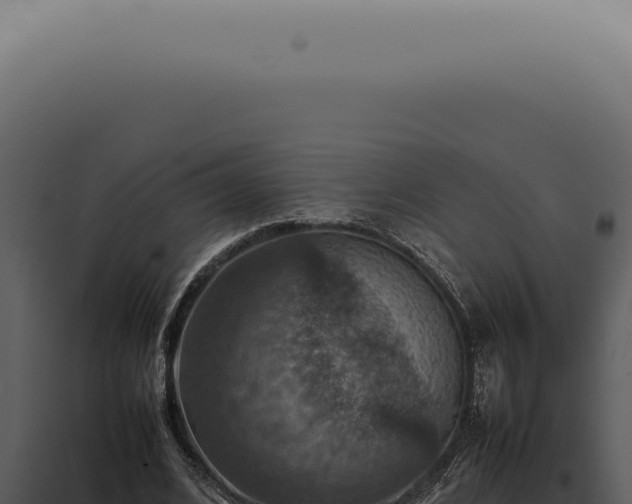X0000098000584200804011835
