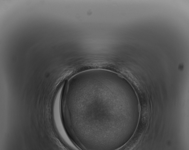 X0000098000585200804011835