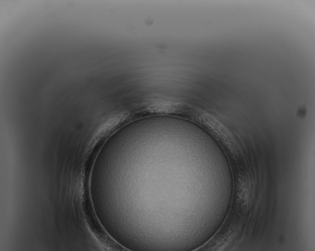 X0000098000586200804011835