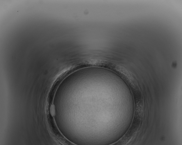 X0000098000587200804011835