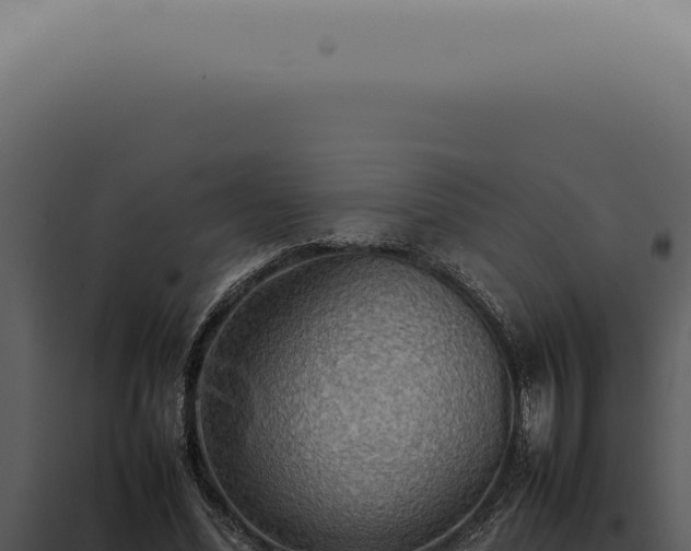 X0000098000588200804011835
