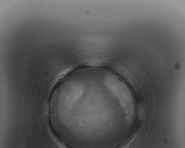 X0000098000589200804011835