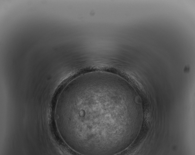 X0000098000591200804011834