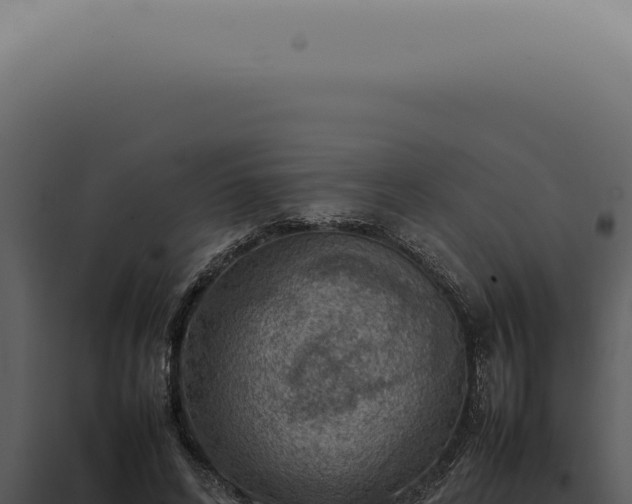 X0000098000592200804011834