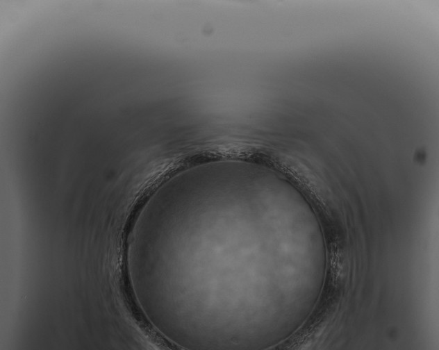 X0000098000593200804011834
