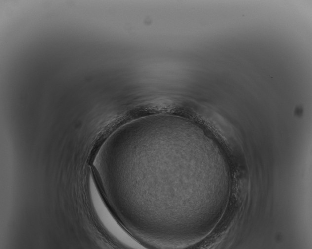 X0000098000597200804011834