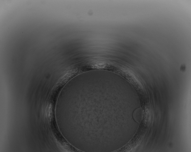 X0000098000598200804011834