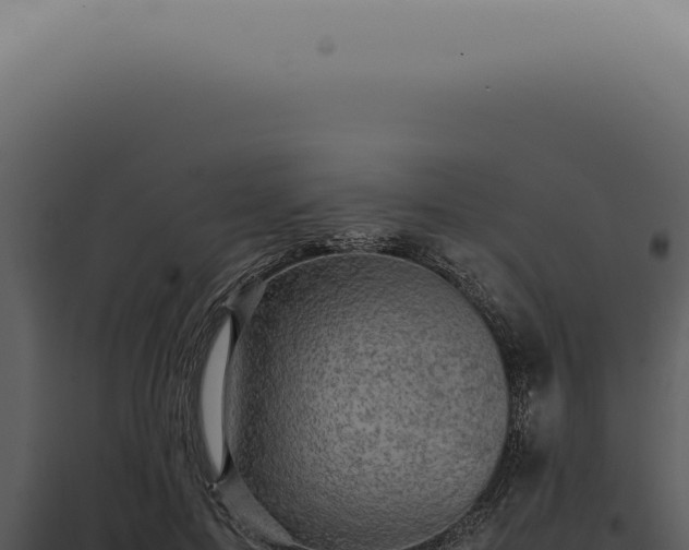 X0000098000599200804011834