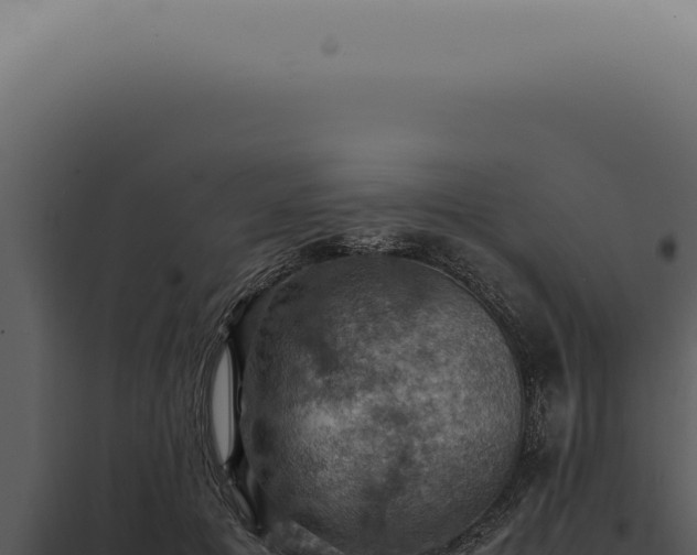 X0000098000601200804011834
