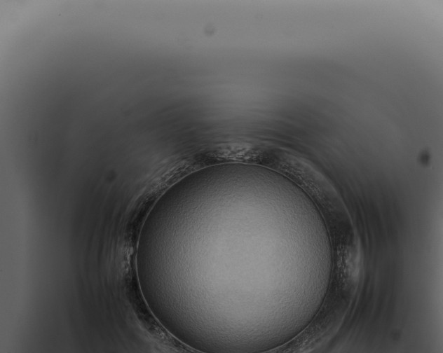 X0000098000602200804011834