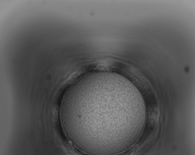 X0000098000603200804011834