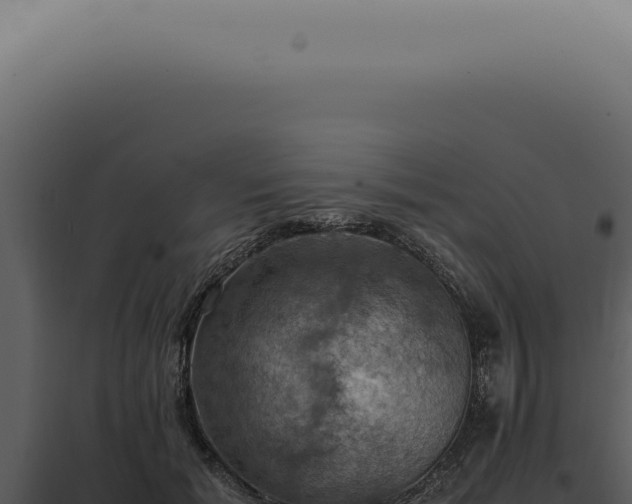 X0000098000605200804011834