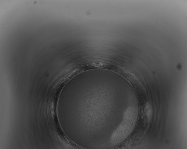 X0000098000606200804011834