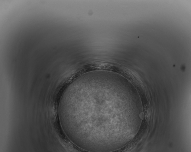 X0000098000607200804011834