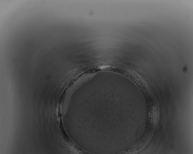 X0000098000610200804011834