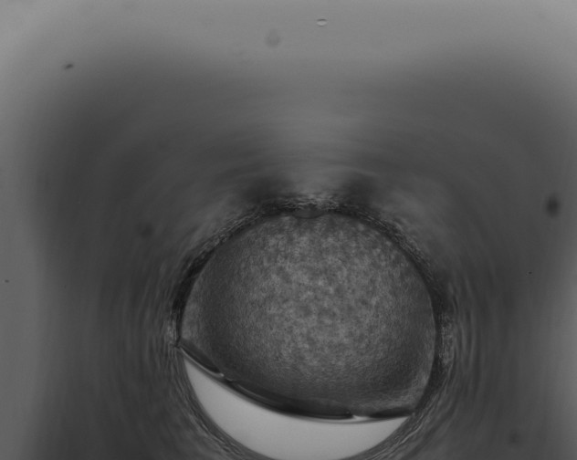 X0000098000613200804011834