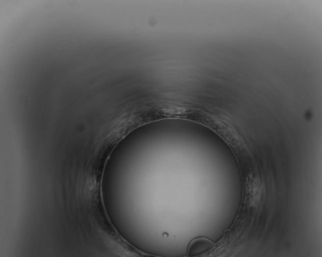 X0000098000614200804011834