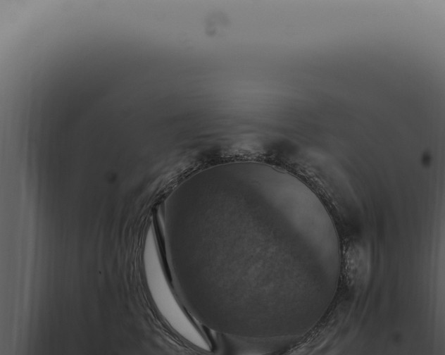 X0000098000617200804011834
