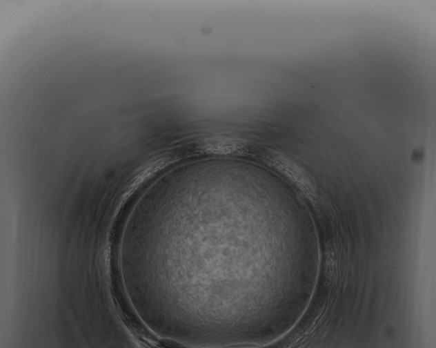 X0000098000626200804011833