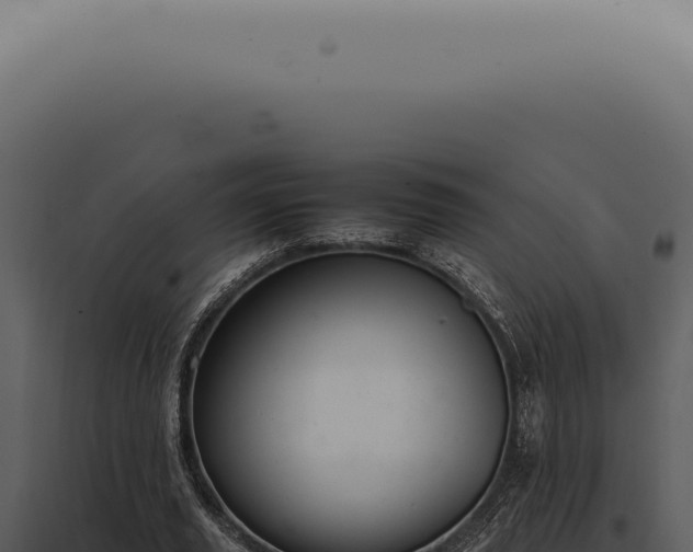 X0000098000629200804011833