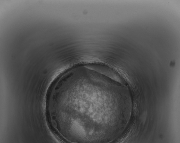 X0000098000630200804011833