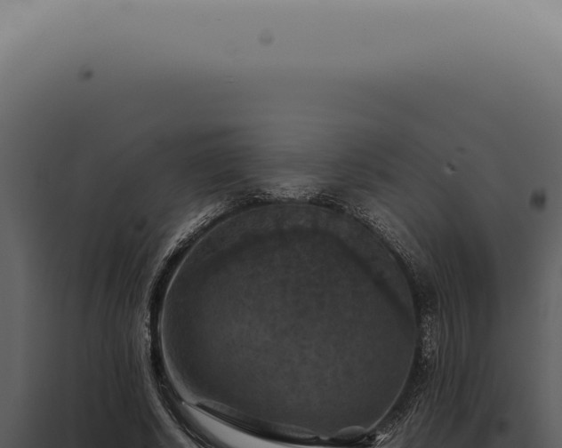 X0000098000634200804011833