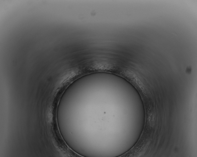 X0000098000635200804011834
