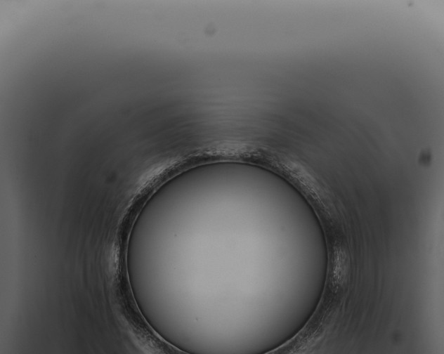 X0000098000636200804011834