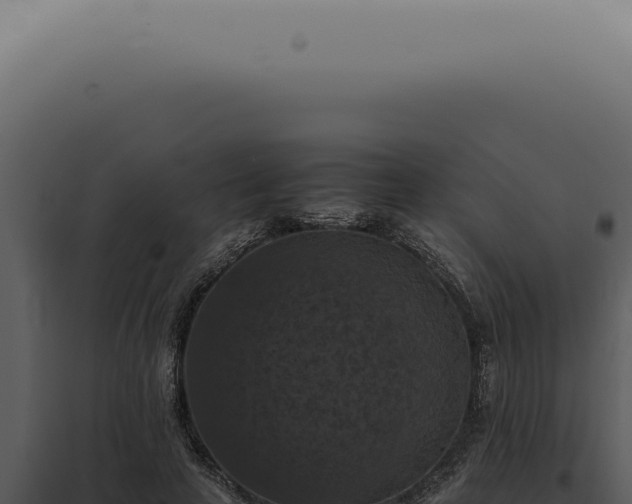 X0000098000641200804011834