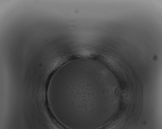 X0000098000642200804011834