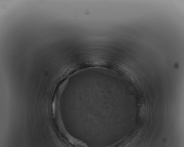 X0000098000643200804011834