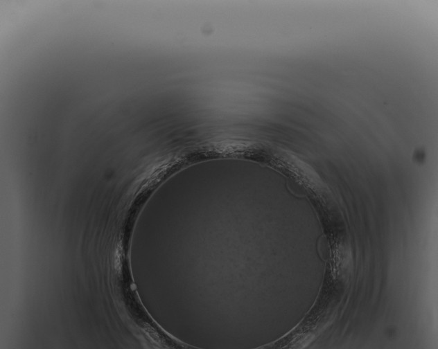 X0000098000644200804011834