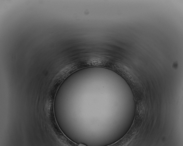 X0000098000645200804011834