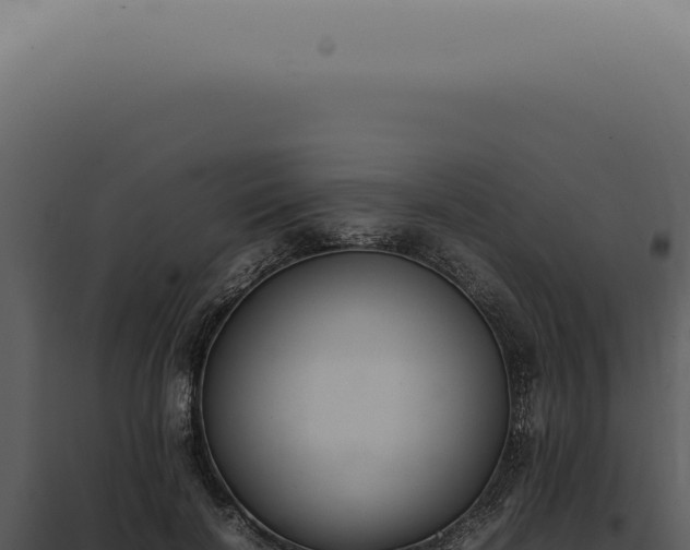 X0000098000646200804011834
