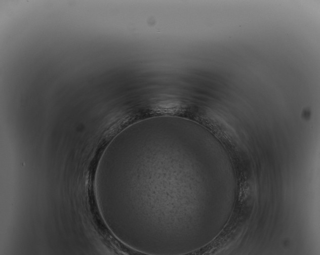 X0000098000647200804011834